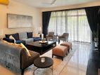Colombo 05 - Luxury Apartment for rent