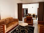 Colombo 06 - Fully Furnished Luxury House for rent