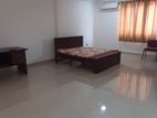 Colombo 07 : 7 A/C Bedrooms Luxury House for Rent in Barnes Place