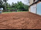 Colombo 08 : 16P PRIME LAND FOR SALE IN BORELLA