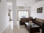 Colombo 08 - Fully Furnished Apartment for rent