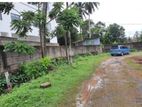 Colombo 08, Kuruppu Road 16 Perches of Bare land for Sale