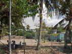 COLOMBO 13 : 75 PERCHES COMMERCIAL LAND FOR SALE