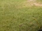 Colombo 3 : 100 perches commercial Bare Land for Sale