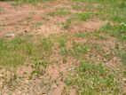 Colombo 3 : 217 perches commercial Land for Sale