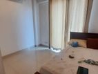 Colombo 4 Luxury Furnished Apartment for Rent.