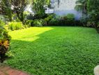 Colombo 5 : 17.44 perches Land with Old Two story houses for Sale