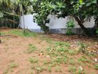Colombo 5 19p Land for Sale