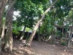 Colombo 5 : 22.8 perches Land for Sale