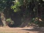 COLOMBO 5 : 36.5 PERCHES PRIME LAND FOR SALE