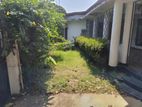 Colombo 5 Colonial Type House for Rent 8000sqft 2.5m