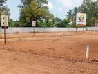 Colombo 5 Kurunagala Road Ekala Land for Sale