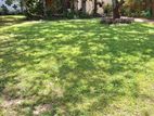 Colombo 6 10P Bare Land For Sale