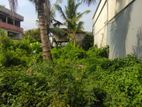 Colombo 8 Gothami Road 10p Land For Sale