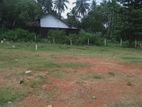 Colombo Avissawella Road 100 Perches Land For rent