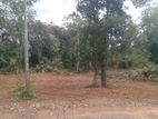 Colombo Avissawella Road 100 Perches Land For Rent