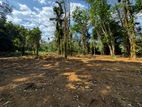 Land for Sale Waga Hanwella