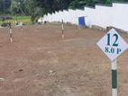 Colombo Land for Sale