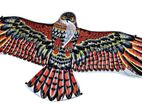 Kids Kite
