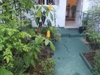 Comfort Living Annex for Rent in Rajagiriya