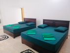 Comfortable rooms / Colombo 04