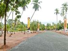Commercial 10p Land for Sale in Negombo "Avani"