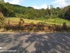 commercial and Residential land for sale in pahathgama diddeniya