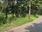 Commercial and Residential Land for Sale in Piliyandala