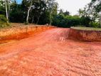 ​🏖️ Commercial & Residential Land for Sale in Rekawa, Tangalle.