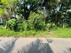 COMMERCIAL AND RESIDENTIAL LAND FOR SALE - PILIYANDALA