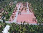 Commercial And Residential Land Plots For Sale In Dambadaniya