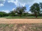 commercial &residential lands for sale in Anuradapura