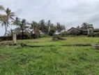 Commercial Beach Fronted Land for Sale in Negambo (C7-10493)