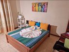 Commercial Building for Rent Colombo 05 - PDC113