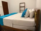 Commercial Building For Rent In Colombo 02 - PDC197