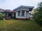 Commercial Building for Rent in Colombo 10 (P-81)