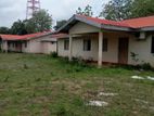 Commercial Building for Sale in Wanathawilluwa