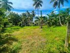 Commercial cum Residential Land for Sale in Kotadeniyawa
