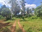 Commercial cum Residential land for Sale in Malwathuhiripitiya, Gampaha