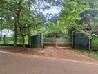 Commercial cum Residential Property for Sale Thammita.