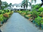 Commercial house for Sale in Dalawakotuwa,Negombo 88 Perches