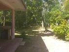 Commercial house rent in Ja Ela - Main road facing