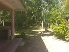 Commercial house rent in Ja Ela, Main road facing