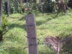 Commercial Land for Lease