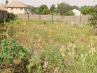 Commercial Land for Rent - Homagama