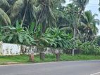 Commercial Land for Rent in Biyagama (SP534)