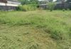 COMMERCIAL LAND FOR RENT IN COLOMBO 05 (SP245) - Ansicht 2