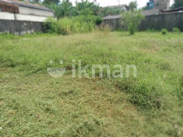COMMERCIAL LAND FOR RENT IN COLOMBO 05 (SP245), Colombo