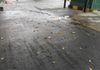 Commercial Land for Rent in Colombo 5 (file Number 255 A) - View 2