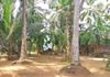 COMMERCIAL LAND FOR RENT IN KELANIYA (SP486) – pohled 6